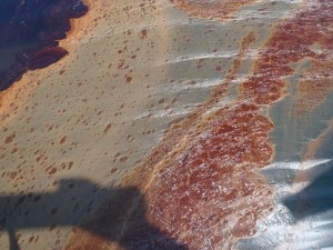 Auf der Wasseroberfläche des Golfs von Mexiko fand sich nach der Deep Horizon Tragödie großflächige Ölverschmutzungen. | Foto: Samantha Joye