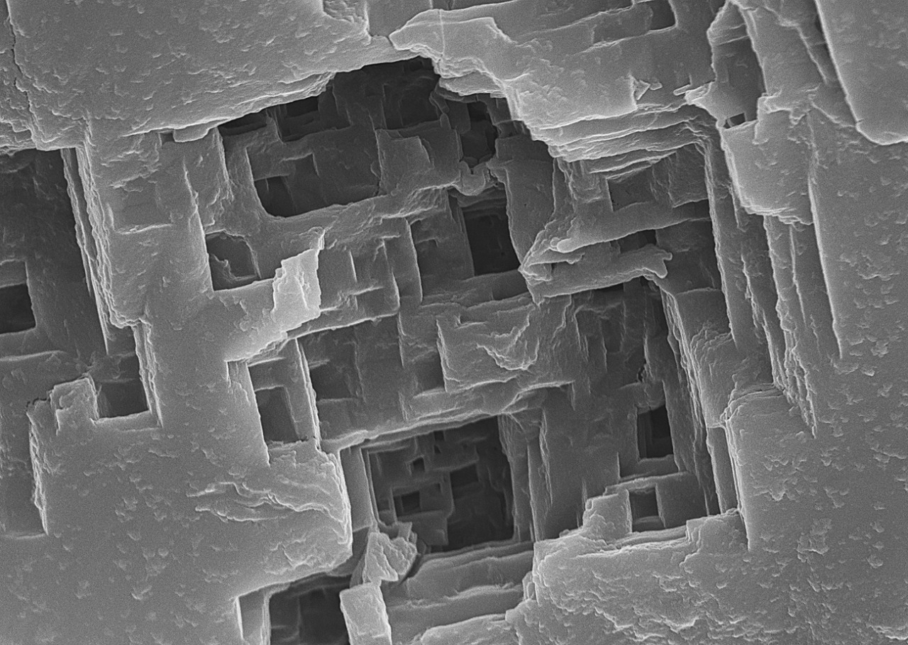 Salzkristalle unter dem Elektronenmikroskop | Foto: José R. Almodóvar Rivera/U of Puerto Rico