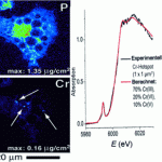 XFM-Analyse zeigt Chrom in Körperzellen | Grafiken: Wiley-VCH