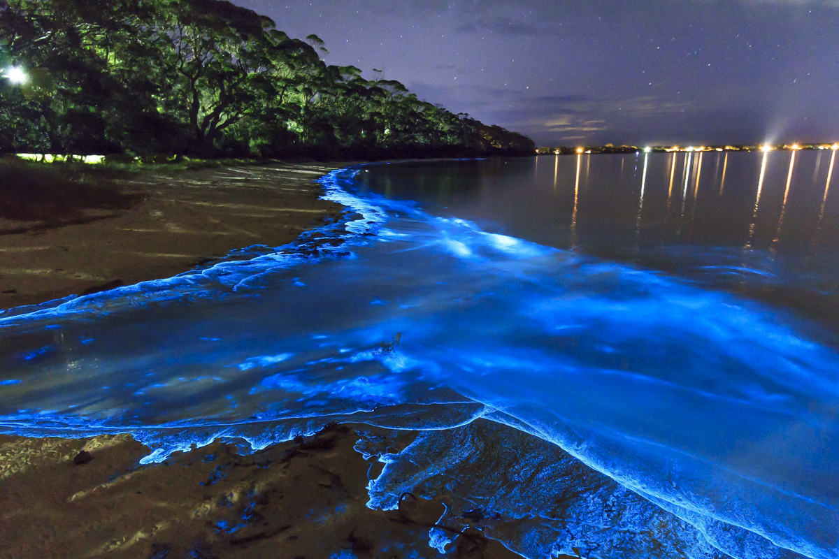 Leuchtend blaue Malediven | Foto: Vadhoo Island, Maledives