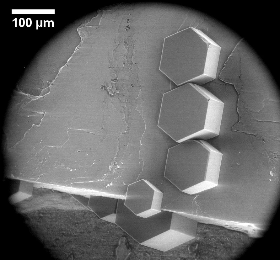 Eiskristalle auf einem Feldspatkristallit unter dem Elektronenmikroskop. Obwohl sie auf verschiedenen Ebenen des Feldspats wachsen, sind sie zueinander ausgerichtet. | Foto: Alexei Kiselev und Dagmar Gerthsen/KIT