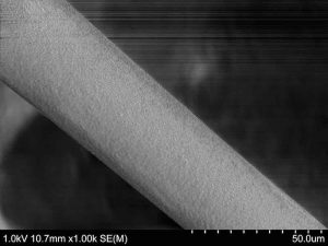 Rasterelektronenmikroskop-Aufnahme einer künstlich hergestellten Mikrofaser. Bild: KTH Stockholm