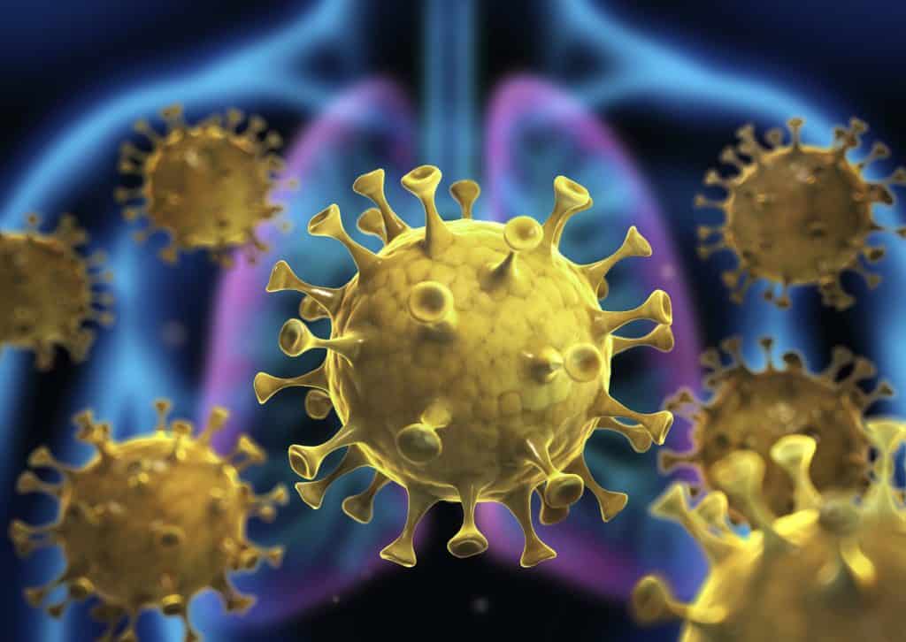 Corona Virus | Grafik: Bayer
