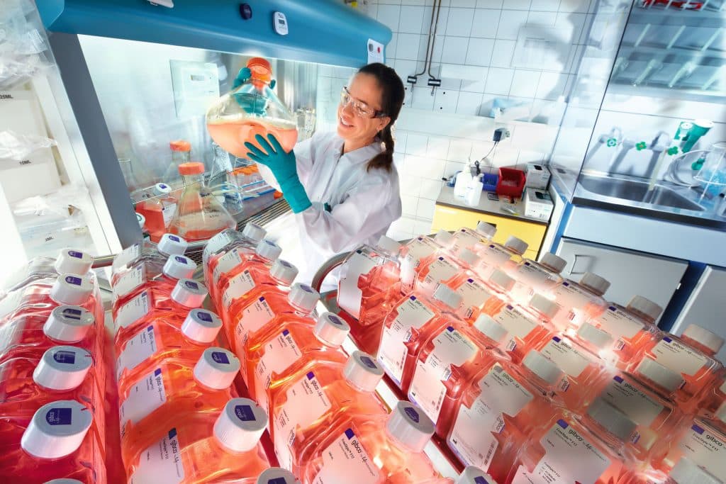 Wissenschaftliche Bayer-Mitarbeiterin mit Lösungen von Zellkulturen | Foto: Bayer