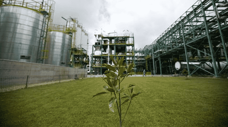 Aus dem Werk in Porto Torres (Sardinien, Italien) beliefert Matrìca LANXESS ab Januar 2022 mit biobasierten Rohstoffen aus pflanzlichen Ölen. | Foto: Matrìca