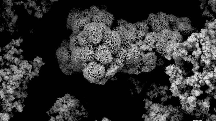 Molybdändisulfid im Rasterelektronen-Mikroskop | Foto: TU Wien