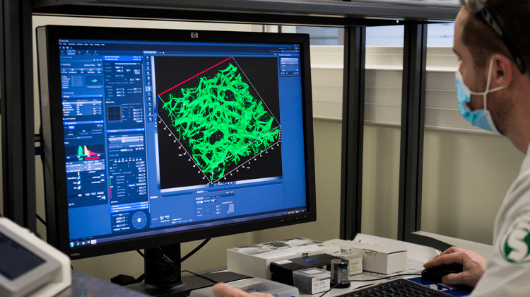 Nicolas Berthelemy, F&E-Projektleiter bei BASF Beauty Care Solutions France S.A.S, beobachtet die Organisation des Kollagennetzwerks in 3D (in Grün) in einem Hautmodell unter Verwendung eines konfokalen Multiphotonenmikroskops. | Foto: BASF SE